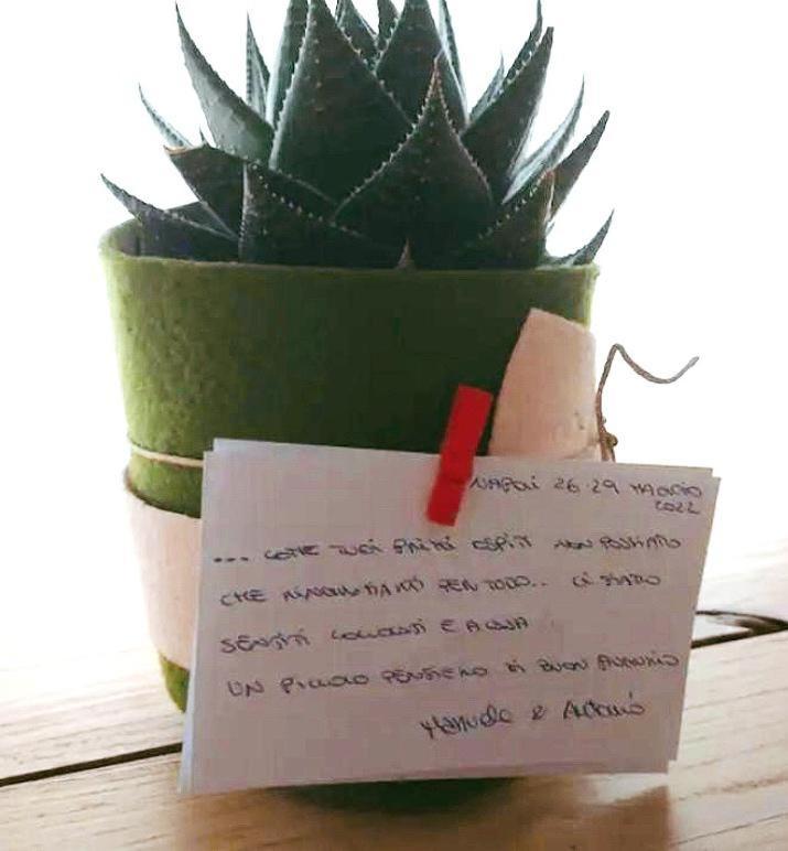 Donna Lucia B&B Nápoly Kültér fotó